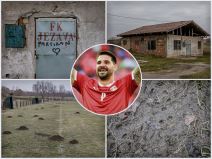 Aleksandar Mitrović