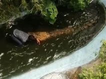 napad krokodila na turistu.jpg