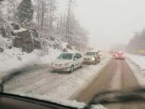 Zlatibor Kamioni (2).jpg