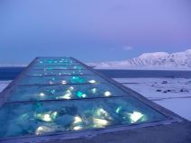 Svalbard noah (1).jpg