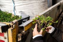 Opština Stari grad (2).jpg