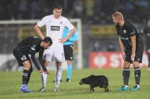 Pas prekinuo utakmicu Partizan Anortozis