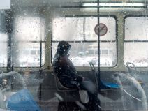 Vremenska prognoza i sneg u Srbiji