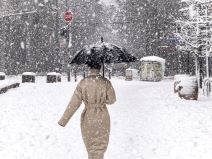 Sneg u Beogradu-18.jpg