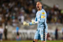 Milan Borjan