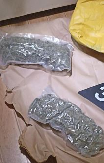 Zaplena droge (4).jpg