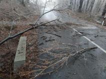 Fruška gora (3).jpg