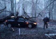 Fruška gora (4).jpg