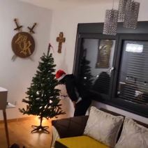 Kristijan Kiki Golubović kuća 2.jpg