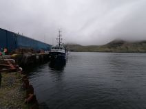 Srbin o čišćenju ribe na Aljsci