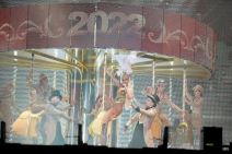 jelena karleuša2.jpg