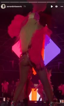 jelena karleuša6.png