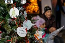 Starogradska zima (6).jpg