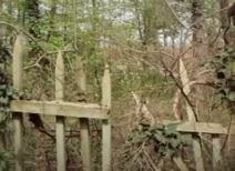 Konenova vila (3).jpg