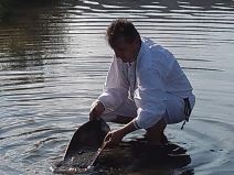 Kopanje Zlata (5).jpg