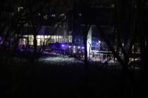 Požar, Zvezdara (3).jpg