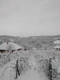 Oglas, Milan, Ženidba, Gojina Gora (2).jpg