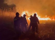 Gašenje požara u Futogu