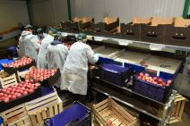 Subotica, promo (4).jpg