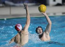 crvena zvezda novi beograd-2.jpg