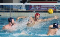 Zvezda dobila Novi Beograd Dejan Savić na klupi foto