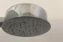 Crvići vire iz tuša