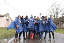 Surčin 5.000 sadnica hrasta zahvaljujući zajedničkoj akciji zaposlenih