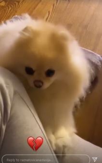 Screenshot 2022-02-27 210953.jpg