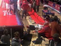 Holins povredjen (3).jpg