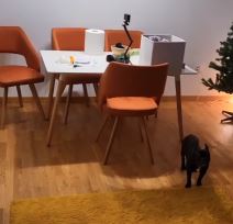 kristijan golubović 2.png