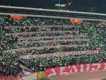 Zvezda Rendžers - Navijači na poluvremenu (2).jpg