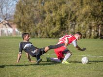 Seoski derbi Crvena zvezda Pavliš Partizan Uljma MONDO reportaža