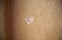 Vesna Đekić ubistvo (3).jpg