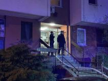 Požar u Mirijevu (3).jpg