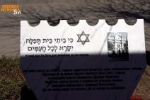 Sremska Mitrovica spomenik  (4).jpg