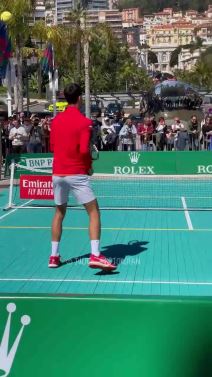 Novak đoković (2).png