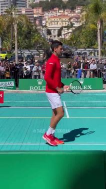 Novak đoković (3).png