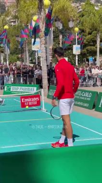 Novak đoković (4).png