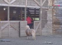 Dejan Dragojević povredio ruku