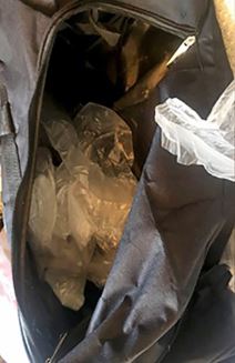 Zvezdara trava (4).jpg