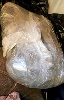 Zvezdara trava (1).jpg