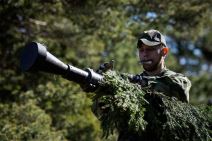 Švedska i Finska armija (2).jpg