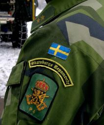 Švedska i Finska armija (4).jpg