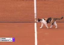 Macka, teniski teren (3).jpg