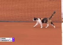 Macka, teniski teren (4).jpg