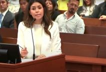 advokatica dzonija depa (2).png