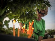 Matej Periš Oproštaj  (3).jpeg