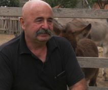 brka švajcarska 1.jpg