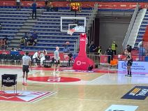 Crvena zvezda Partizan uživo prenos livestream 
