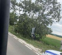 Auto završio na drvetu pored puta